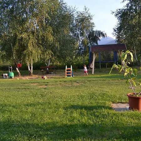 Guest house Pensiunea Royal Garden