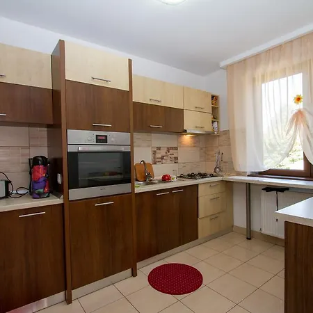 Guest house Pensiunea Royal Garden